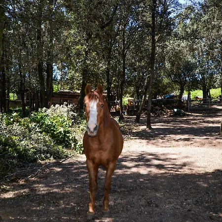 בית נופש Lovely In With House A Panoramic View *