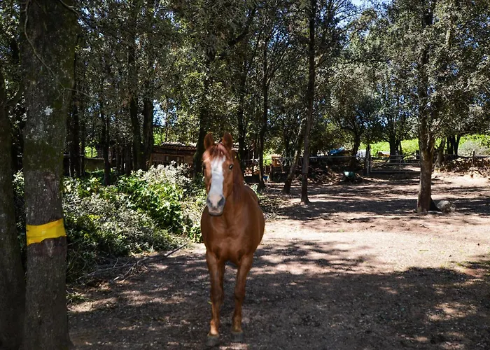 度假居 Stunning In With Wifi *