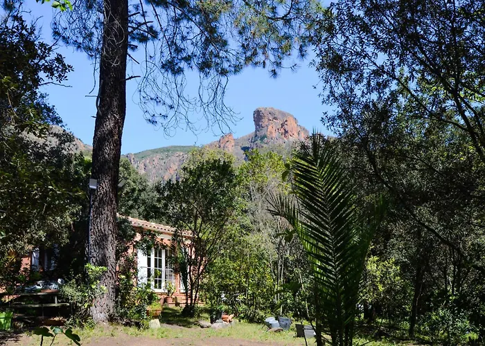 Stunning In With Wifi * Afa